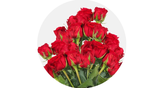 Putik Bouquet History